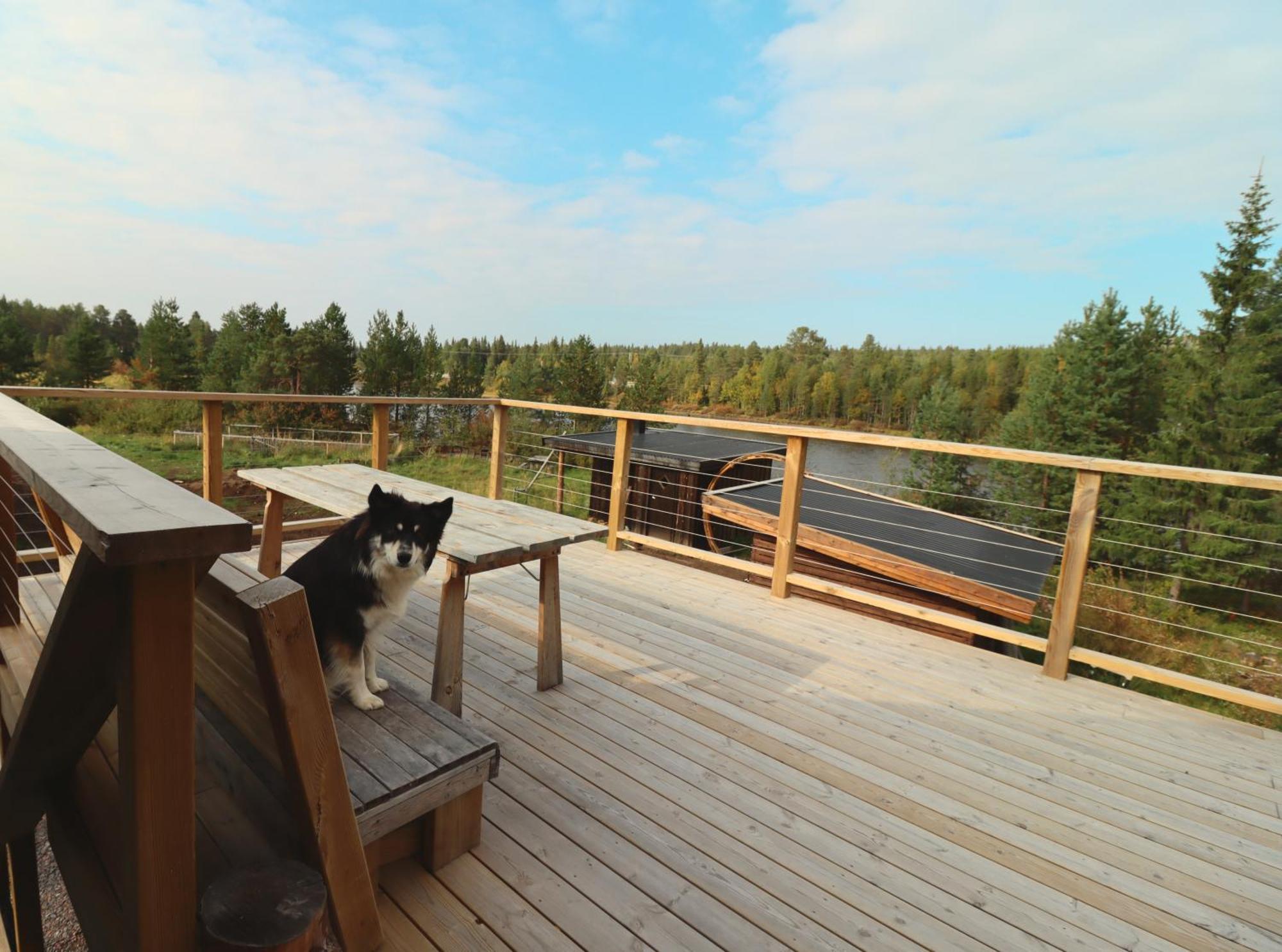 Cozy Cabin Styled Loft คิรูนา ภายนอก รูปภาพ